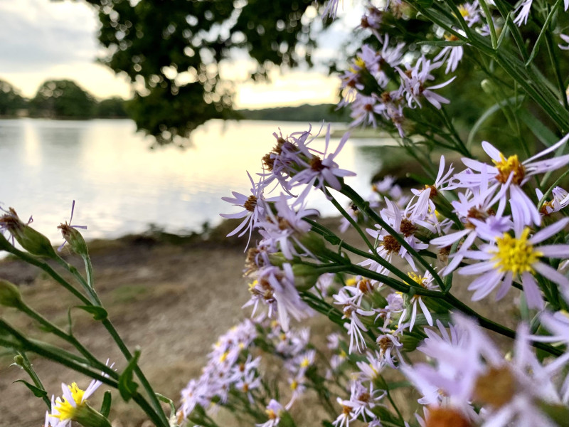 How can we integrate the value of a river ecosystem into an economic appraisal of our district?