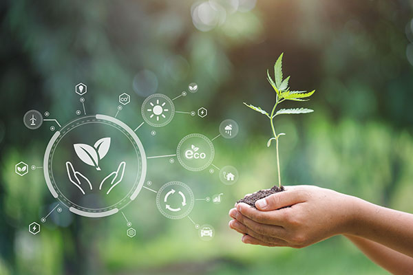 Sustainable development