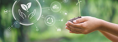 Sustainable development