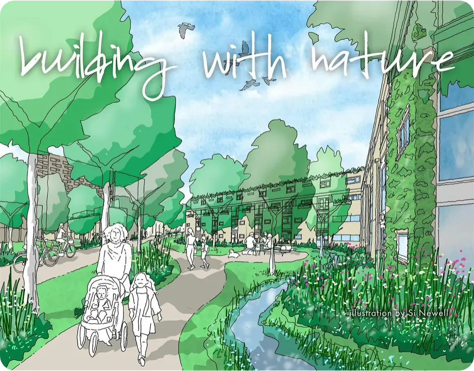 What is Building with Nature?